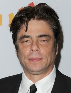 Benicio Del Toro novio de Heather Graham