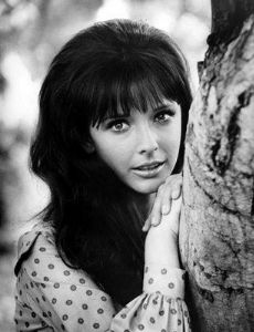 Brenda Scott novia de Chad Everett