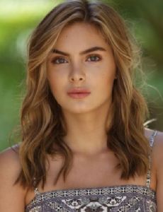 Brighton Sharbino