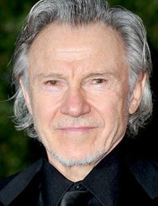 Harvey Keitel novio de Lisa Karmazin