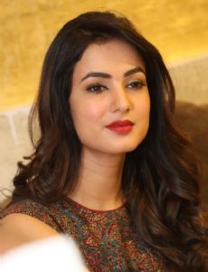 Sonal Chauhan novia de Neil Nitin Mukesh