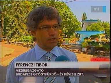 Tibor Ferenczi novio de Anikó Ungár