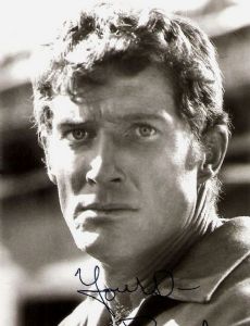 Brad Harris