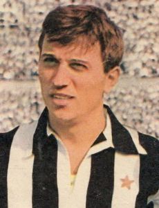 Gino Stacchini