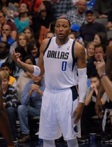 Shawn Marion