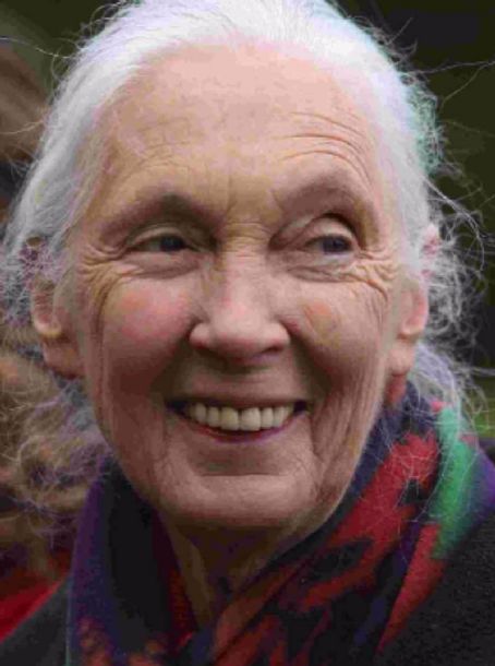 Theresa Rice