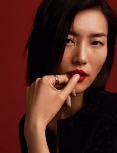 Liu Wen